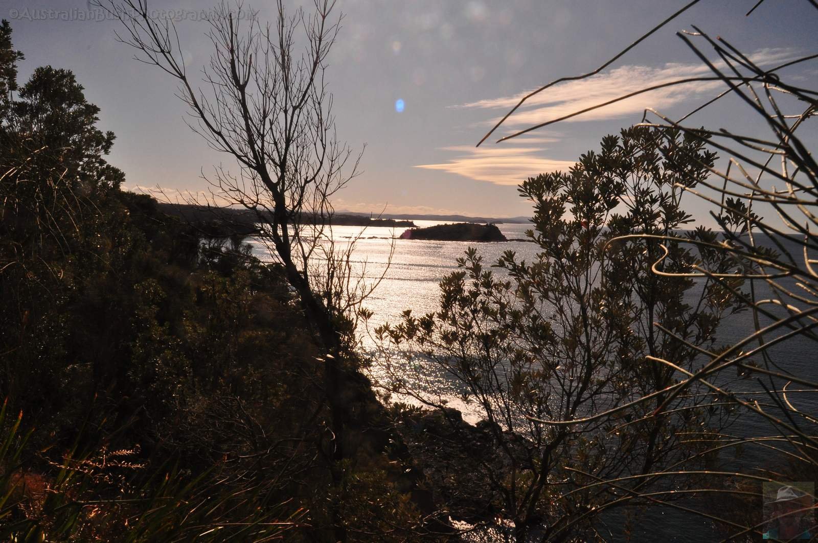 Burrewarra Point.005 12h44m07s2020 07 03