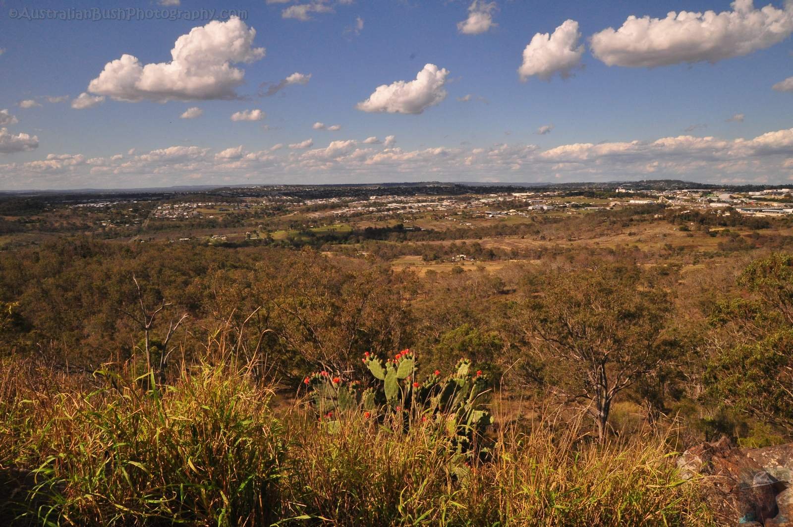 Mount Peel Toowoomba.033 15h17m26s2020 10 26