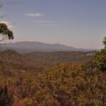 Carnarvon NPRotary Shelter Shed Camground.011 11h10m09s2020 11 22