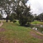 Narda Lagoon Laidley 004 DSC 0649