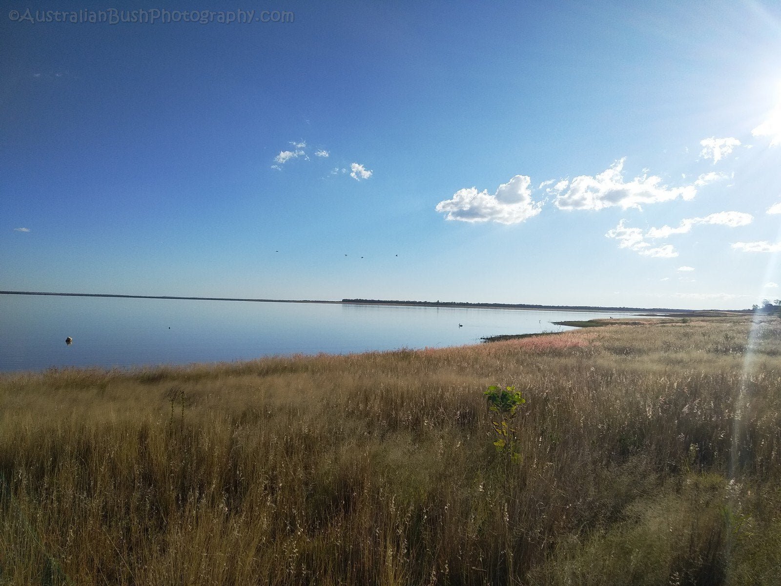 Lake Maraboon 003 IMG 20210513 160617