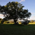 Mt Kilcoy004 DSC 0964