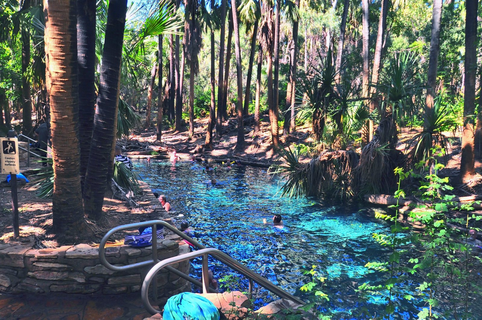 Elsey NP Mataranka Spring and walk 007 DSC 0570 JPG scaled