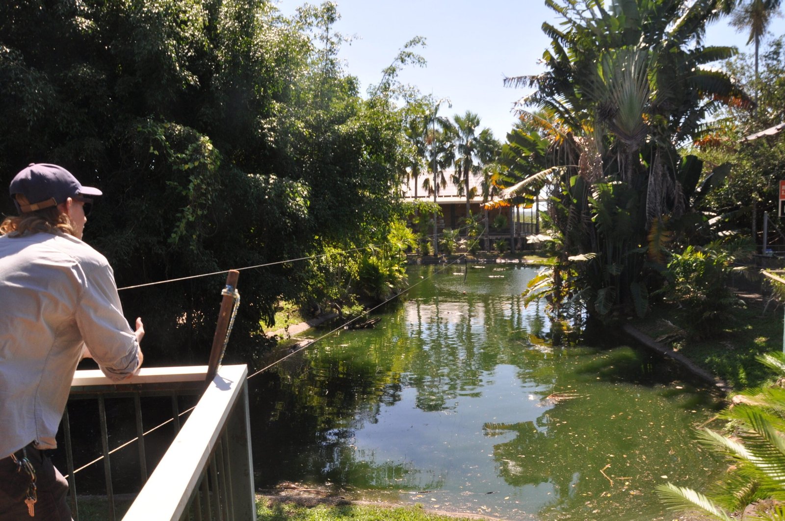 Darwin Crocodilus Park 002 DSC 0862 scaled