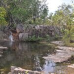 Litchfield Greenant Creek 043 DSC 0060