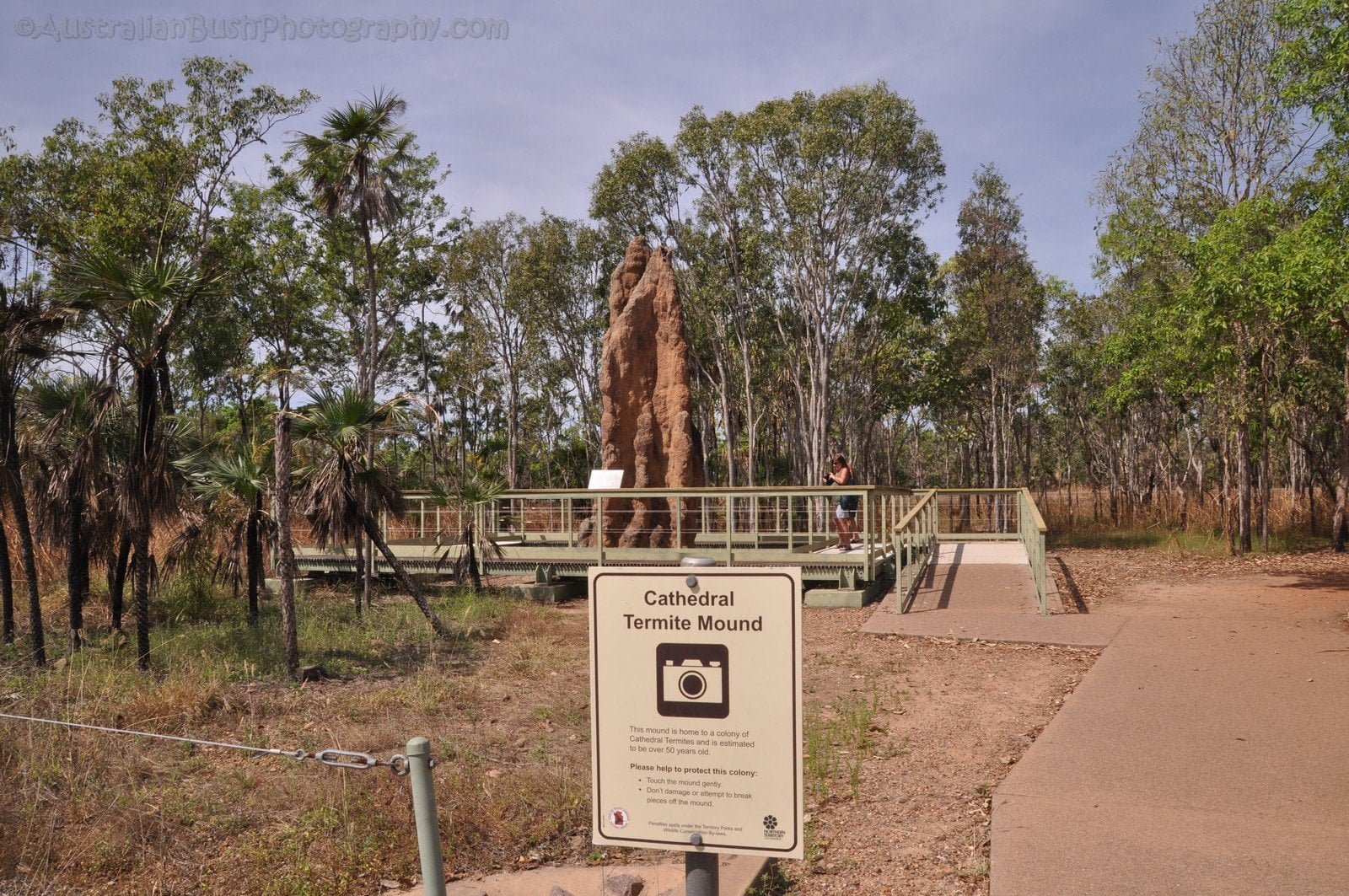 Litchfield The Termite Mounds 009 DSC 0011