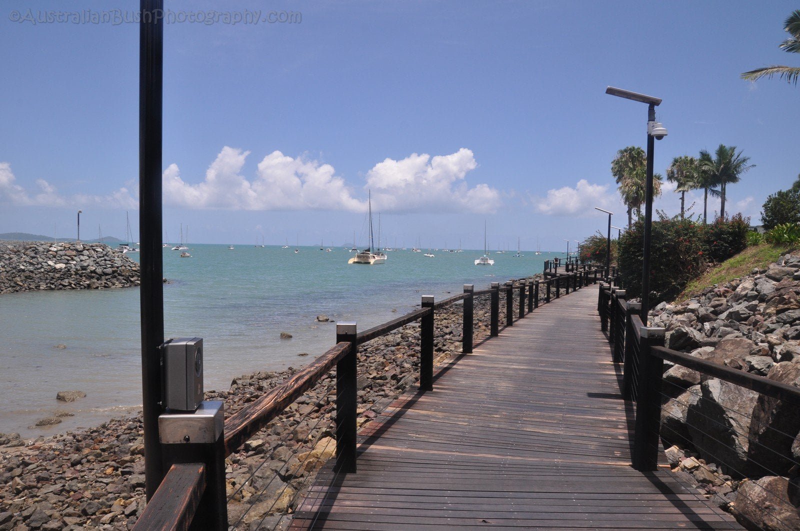 Airlie Beach Walks 020 DSC 0826 2021 11 30 11h21m18s