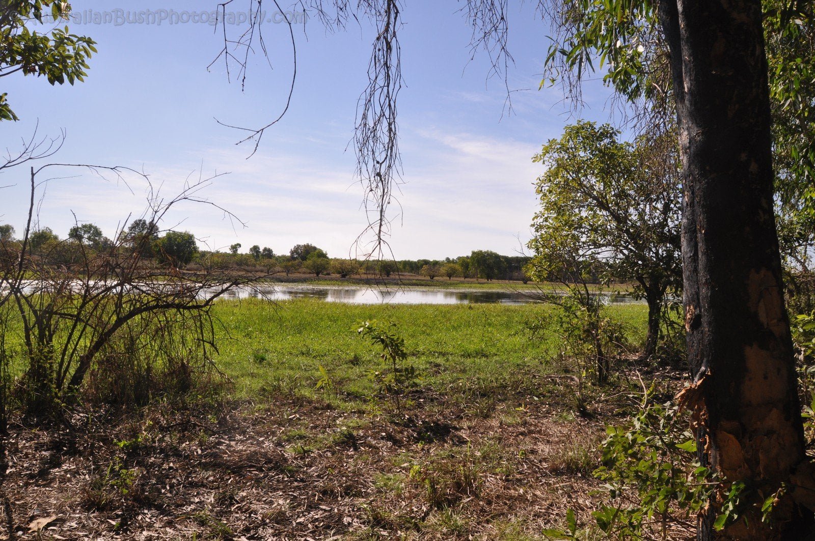 Anbangbang Billabong Kakadu 107 2021 08 06 15 51 19 DSC 0058