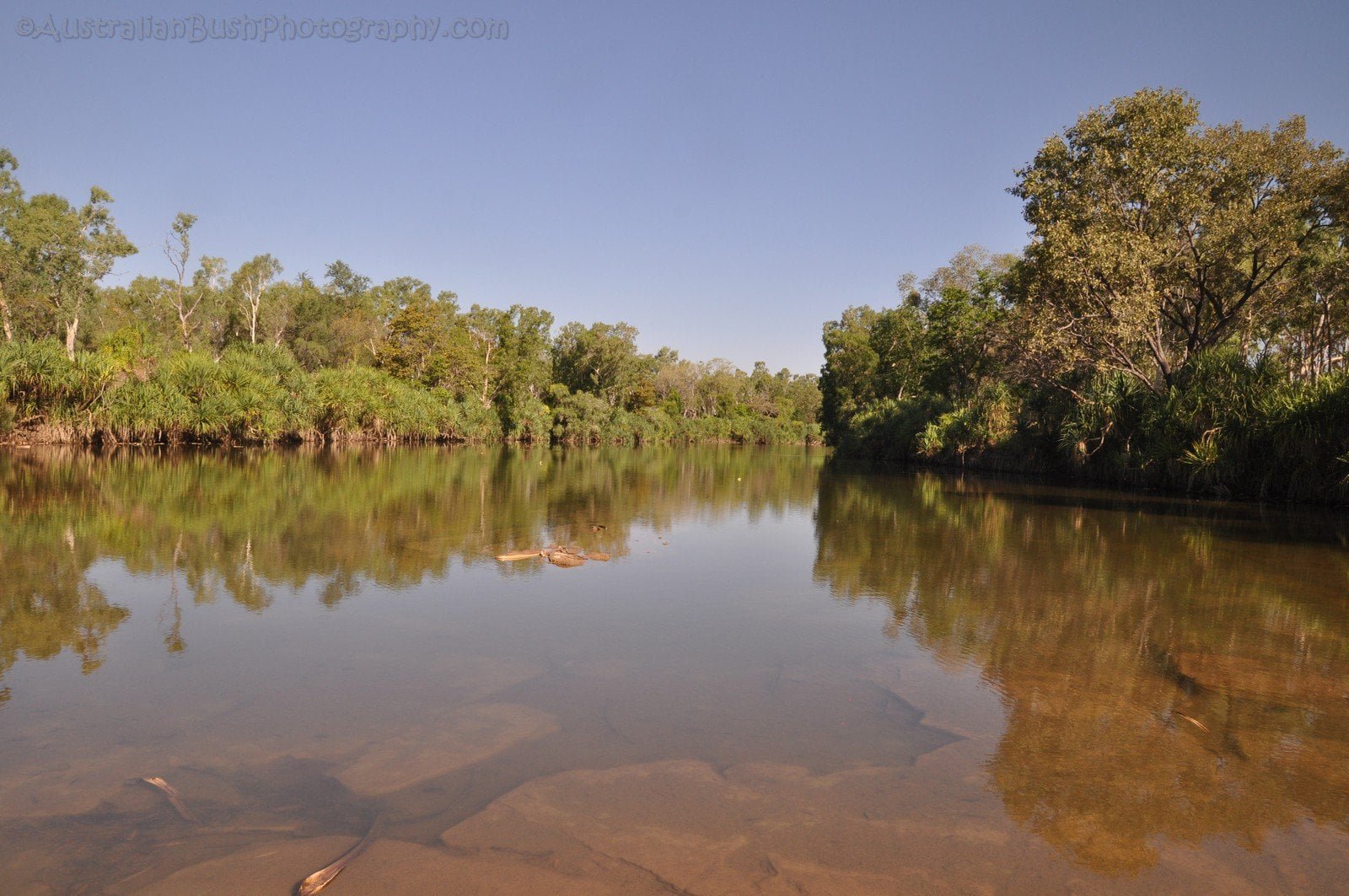 Bullita 087 DSC 0693