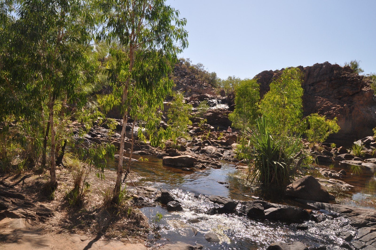 Edith Falls 036 DSC 0397