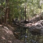 Kubara Walk Kakadu 016 Nourlangie Kakadu 076 DSC 0900