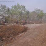 Malaplains2 012 Malaplains2012 DSC 0920