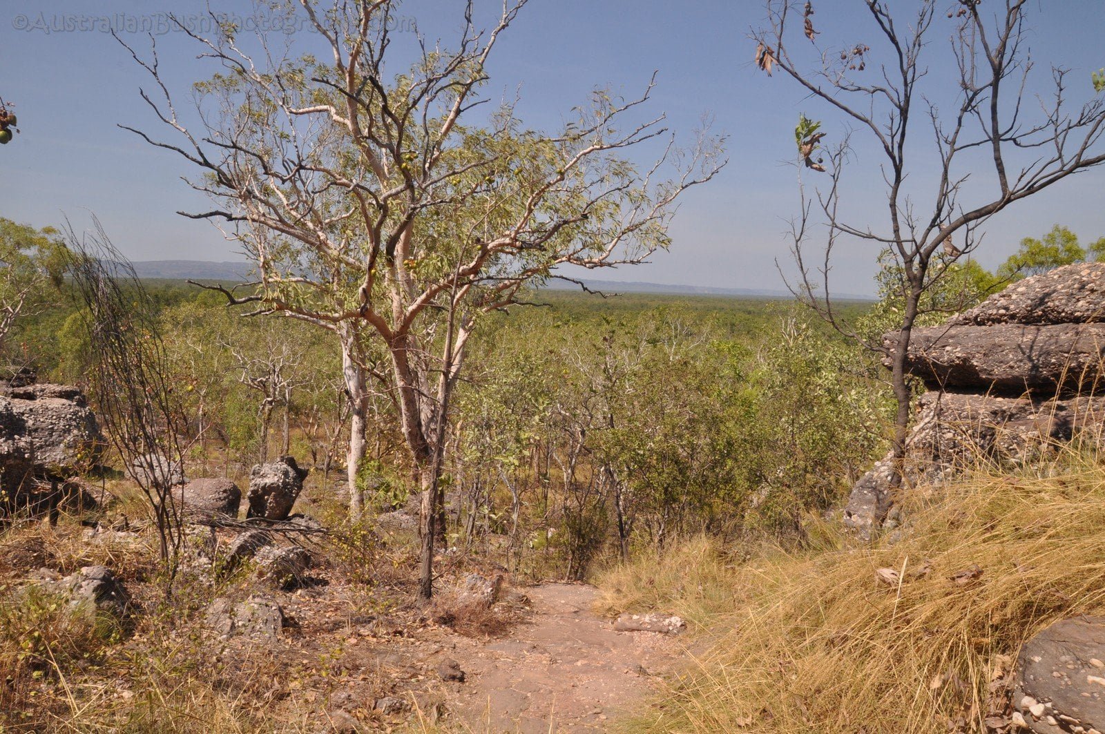 Nourlangie Kakadu 055 DSC 0879