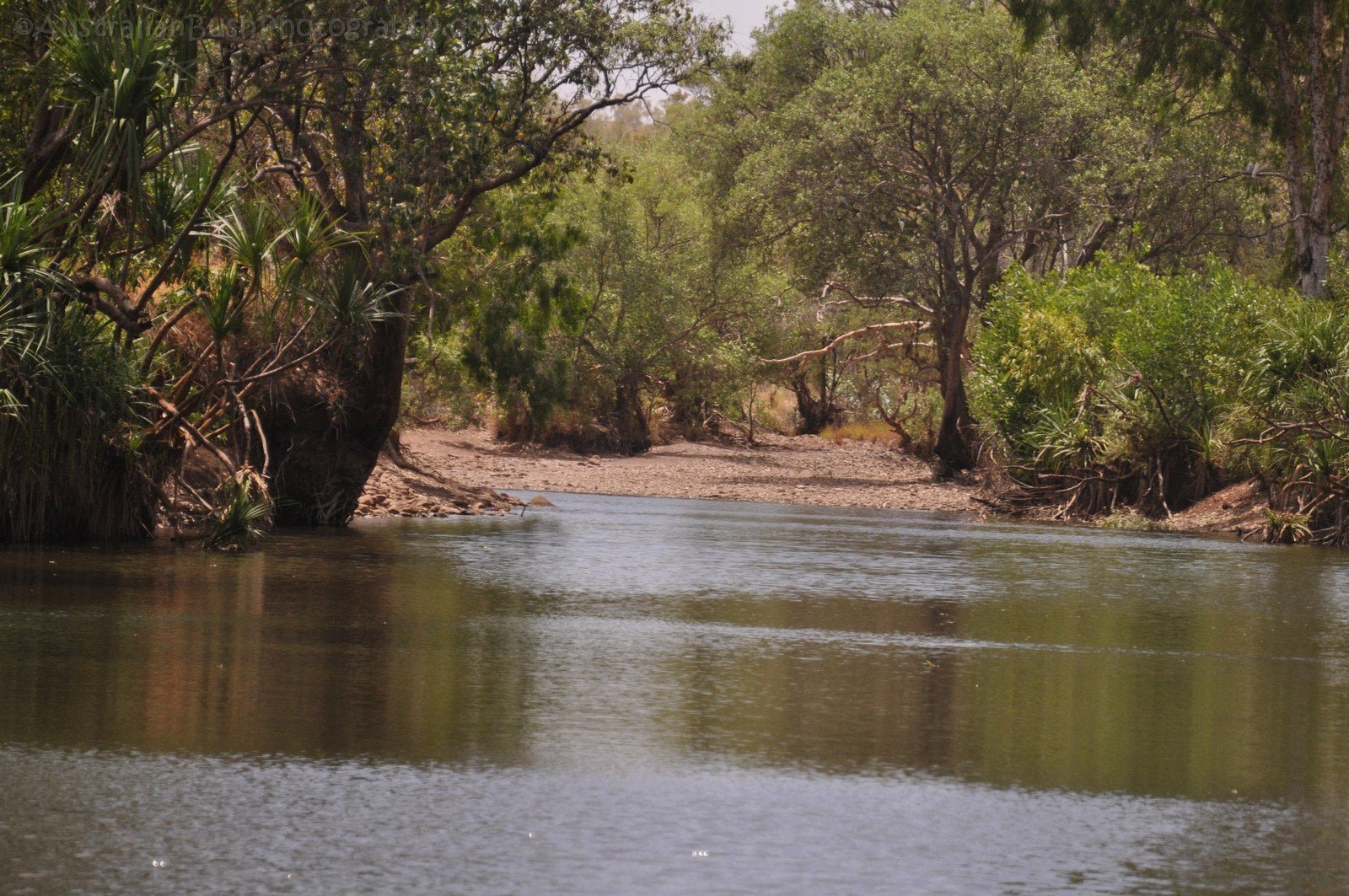 Sullivan Creek | All Over Australia