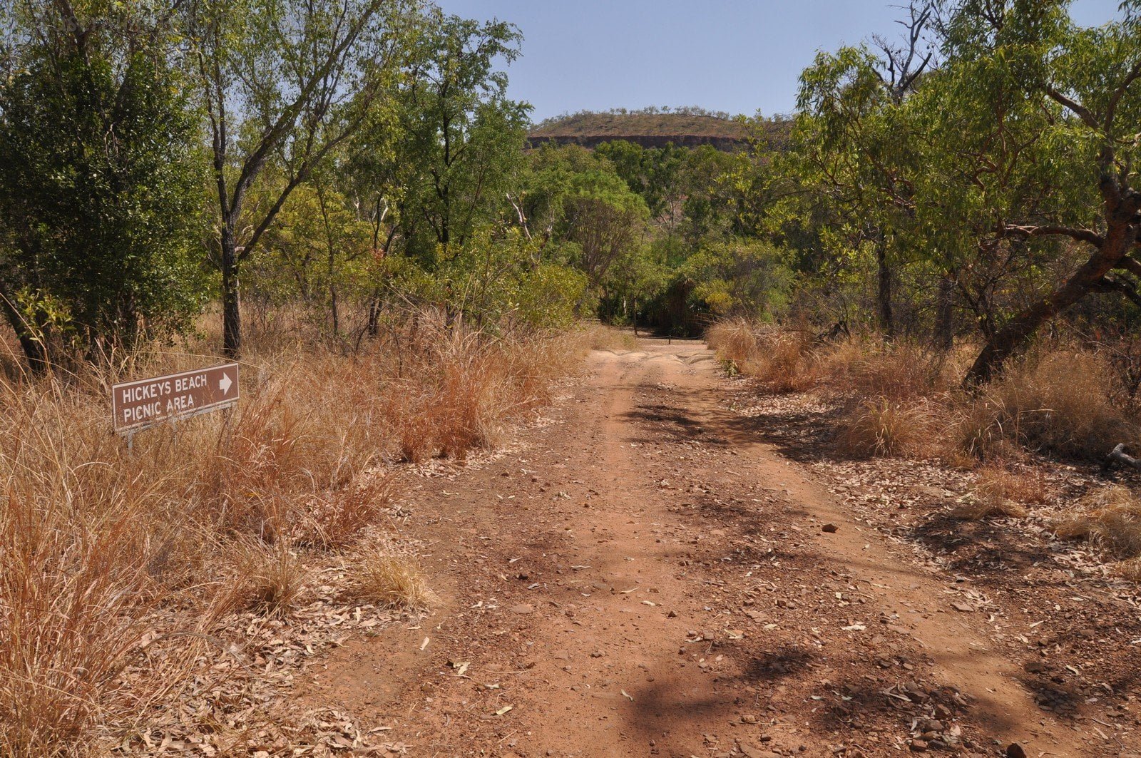 Timber Creek1 058 DSC 0767