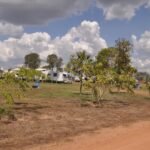 Two Jays Bynoe 011 DSC 0900