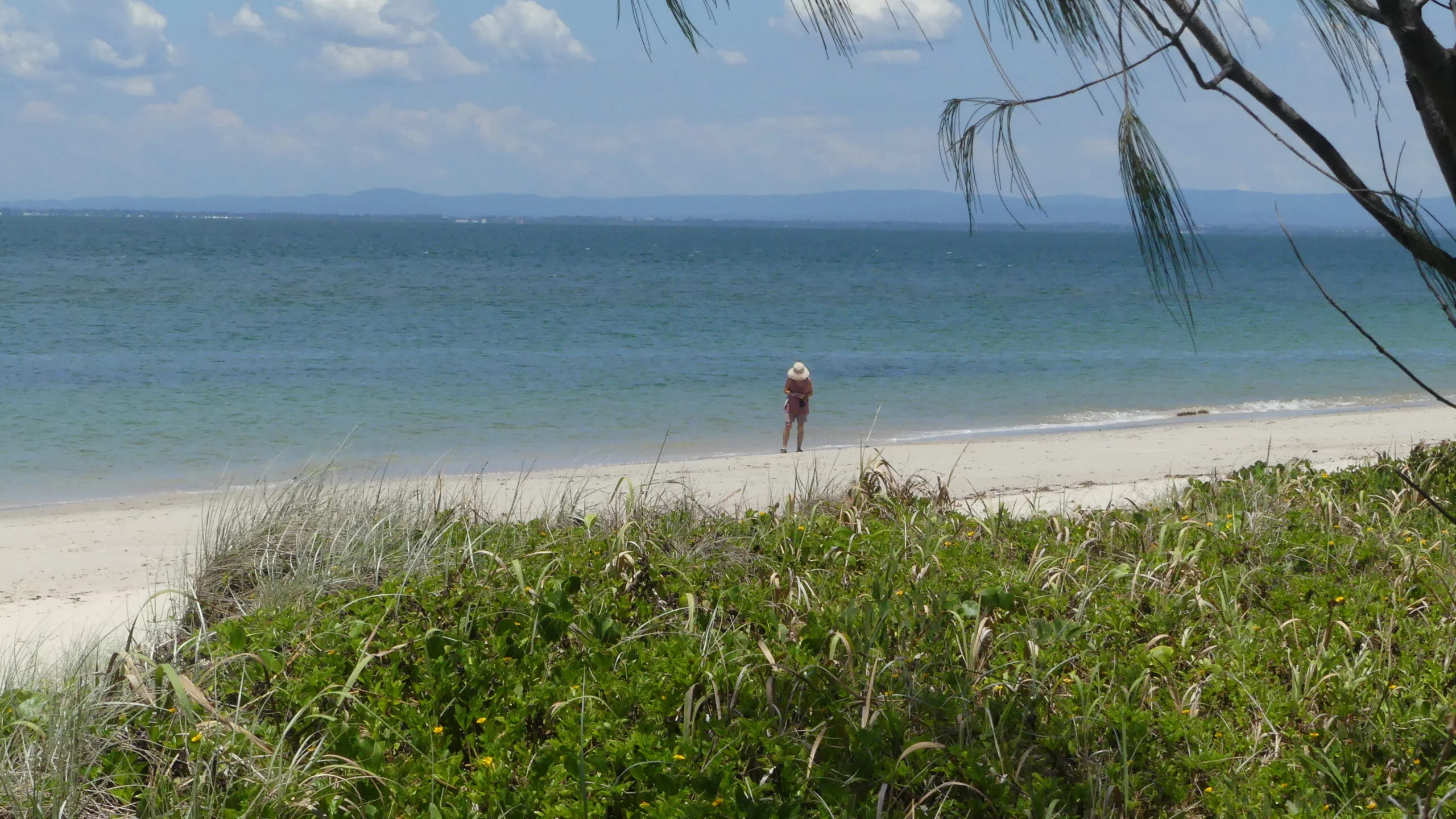 Bribie Red Beach to Buckleys Hole 035 P1020150 scaled