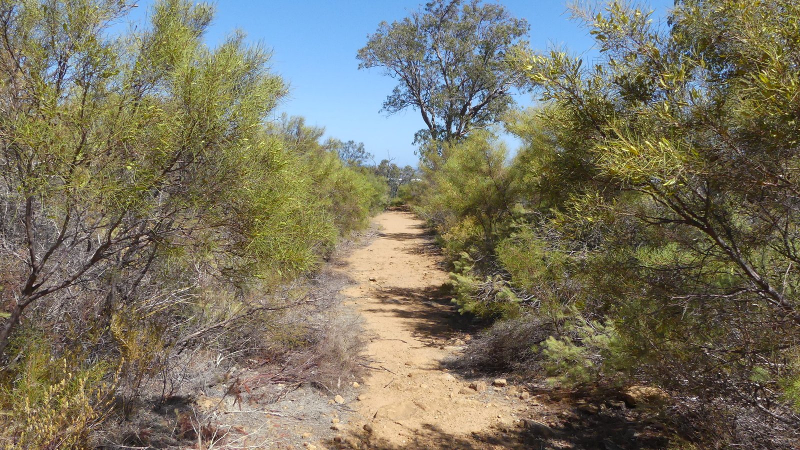 Lesmurdie Lions Lookout Walk – All Over Australia