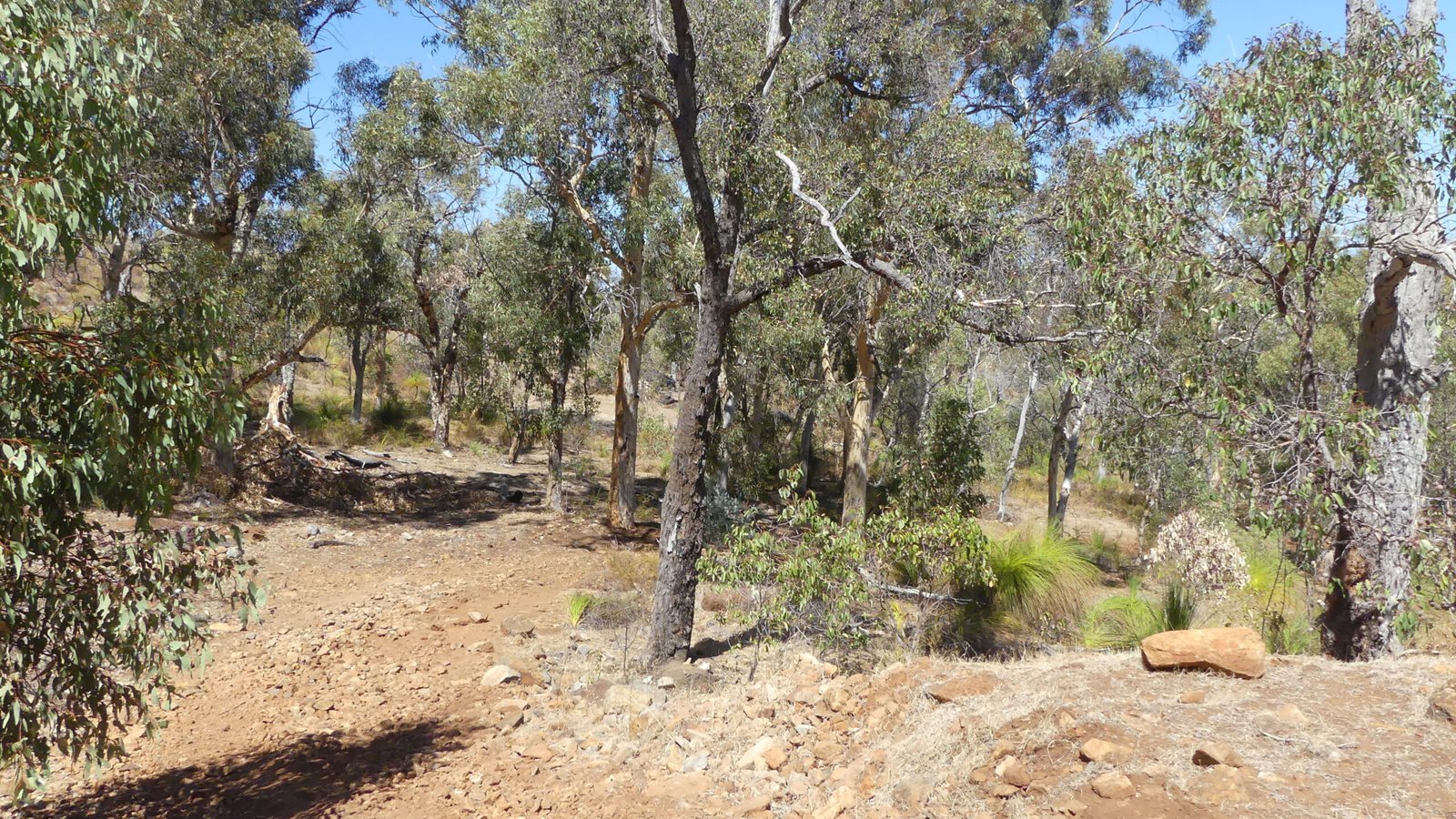 Lesmurdie Lions Lookout Walk – All Over Australia