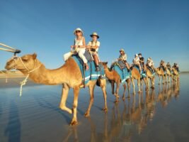 Cable Beach – Sunset and Camels