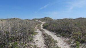 Cable Beach … more walking