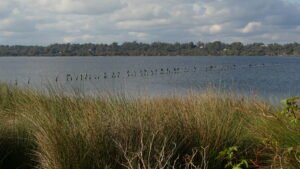 Belvidere