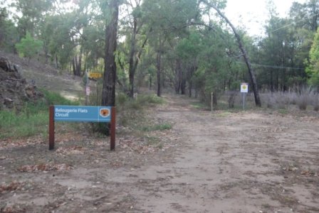 Warrambungles NP Belougery Flats Circuit.001 06h55m13s2019 02 01
