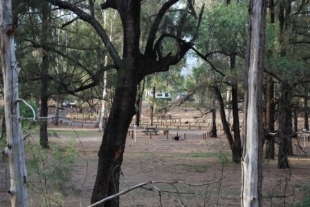 Warrambungles NP Belougery Flats Circuit.005 06h57m22s2019 02 01