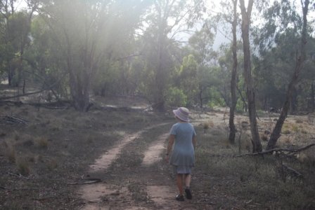 Warrambungles NP Belougery Flats Circuit.008 07h11m09s2019 02 01 1