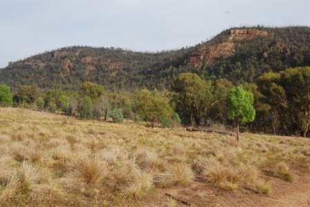 Warrambungles NP Belougery Flats Circuit.012 07h21m40s2019 02 01