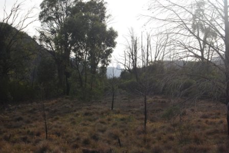 Warrambungles NP Belougery Flats Circuit.013 07h21m54s2019 02 01