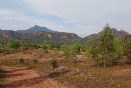 Warrambungles NP Belougery Flats Circuit.035 07h38m17s2019 02 01