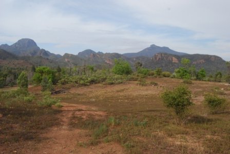 Warrambungles NP Belougery Flats Circuit.042 07h39m30s2019 02 01
