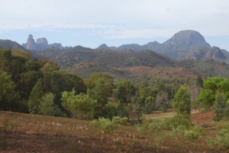 Warrambungles NP Belougery Flats Circuit.044 07h39m45s2019 02 01