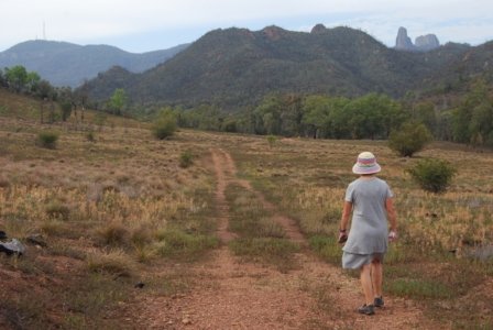 Warrambungles NP Belougery Flats Circuit.049 07h49m49s2019 02 01