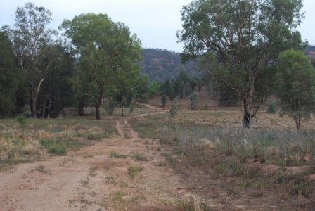 Warrambungles NP Belougery Flats Circuit.050 07h56m57s2019 02 01