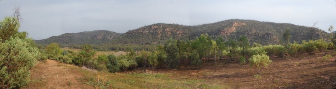 Warrumbungles from Belougery Flats2