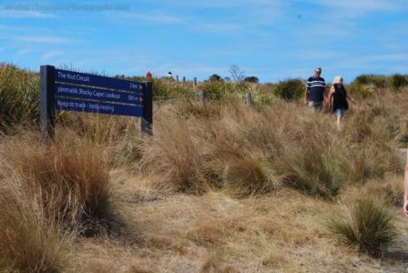 Stanley.041 11h57m56s2019 03 19 Stanley.041 11h57m56s2019 03 19