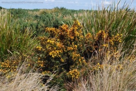 Stanley.044 12h02m56s2019 03 19 Stanley.044 12h02m56s2019 03 19