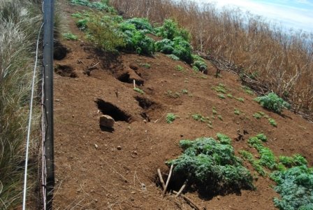 Stanley.058 12h13m12s2019 03 19 Stanley.058 12h13m12s2019 03 19