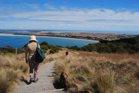 Stanley.063 12h23m18s2019 03 19 Stanley.063 12h23m18s2019 03 19