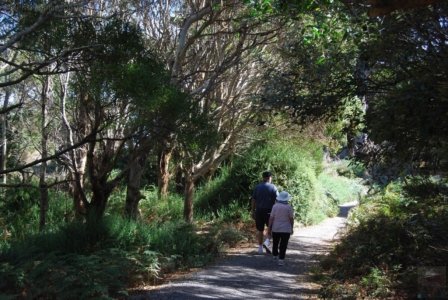 Stanley.074 12h35m07s2019 03 19 Stanley.074 12h35m07s2019 03 19