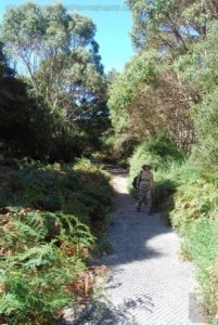 Stanley.075 12h36m07s2019 03 19 Stanley.075 12h36m07s2019 03 19