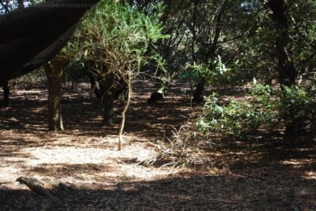 Stanley.078 12h38m16s2019 03 19 Stanley.078 12h38m16s2019 03 19