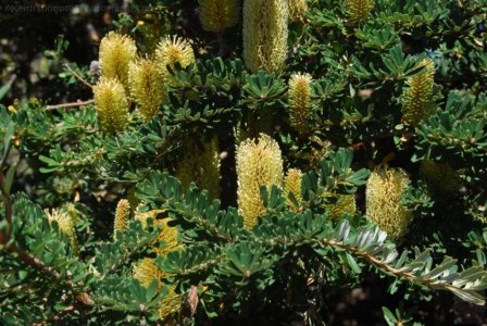 Stanley.080 12h44m21s2019 03 19 Stanley.080 12h44m21s2019 03 19