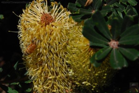 Stanley.083 12h45m17s2019 03 19 Stanley.083 12h45m17s2019 03 19