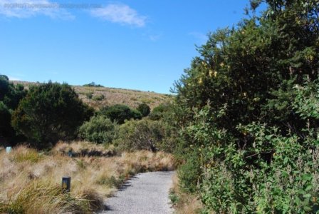 Stanley.088 12h46m48s2019 03 19 Stanley.088 12h46m48s2019 03 19