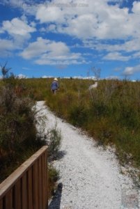 The Tarkine Drive Dempster Plains.003 12h37m51s2019 03 22