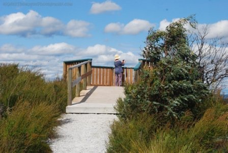 The Tarkine Drive Dempster Plains.007 12h40m05s2019 03 22