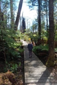 The Tarkine Drive Milkshake Hills.002 11h16m07s2019 03 22
